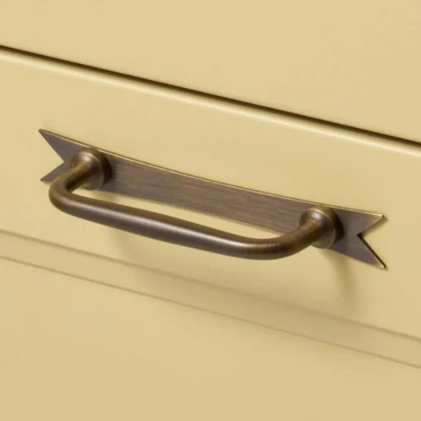 Handles with Backplates