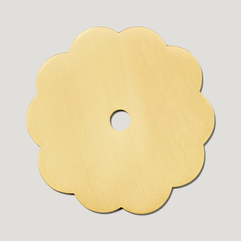 ADA Scallop Cabinet Knob Backplate - Brass