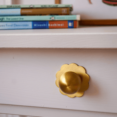 Plank Hardware ADA Scallop Cabinet Knob Backplate - Brass