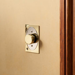 Plank Hardware JASPER 1G Oval Dimmer Switch - Unlacquered Brass / Polished Nickel