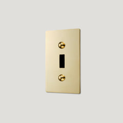 Plank Hardware JASPER 1G Toggle/Dimmer Plate - Unlacquered Brass